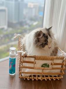 Oem Plastic Huidverzorgingsspray Voor Huidverzorging Voor Huisdieren Voor Hotspots Jeuk Verlichting Gevoelige Huid Irriterend Likken Hondenkat - Product Image 4