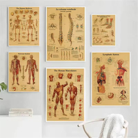 Anatomie humaine colonne vertébrale squelette affiche médicale murale intérieur maison décorative Art impression toile mur Art pour genou articulation pied