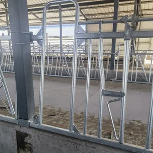 Cattle Headlock Cow Headlock For Cattle Headlocks Feeder trough barrier Dairy Farm Management Equipment