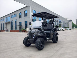 Vehículo Utilitario, Buggy Homologado para Carretera, Motocicletas Eléctricas, Carritos, Carro de Golf Eléctrico de 4 Asientos 4X4 - Product Image 6