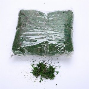 E-3086 Preserved Green <strong>Moss</strong> Bark 800g <strong>Dried</strong> Natural Sphagnum <strong>Moss</strong> for Crafts, Floral Arrangements, and Terrariums - Product Image 1