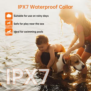 Valla inalámbrica para entrenamiento, Collar de choque, sistema inalámbrico de valla para <span class=keywords><strong>perros</strong></span>, valla eléctrica <span class=keywords><strong>Invisible</strong></span> inalámbrica para <span class=keywords><strong>perros</strong></span> con GPS para <span class=keywords><strong>perros</strong></span> - Product Image 5