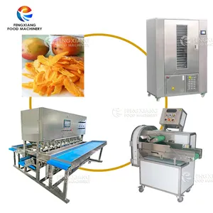Línea de procesamiento de rebanadas de Mango Seco Máquina automática de corte de mango pelador de 8 cabezales Máquina de secado de rebanadas de mango