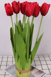 บิ๊กเรด