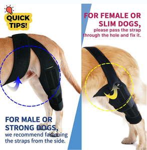 Soporte Ortopédico OEM para Patas <span class=keywords><strong>de</strong></span> Perro, Férula <span class=keywords><strong>de</strong></span> Recuperación para Rodilla <span class=keywords><strong>de</strong></span> Mascota con Protección ACL, Reduce el Dolor Articular - Product Image 4