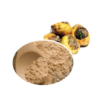 Zhengdi factory – supplément de santé pour hommes et femmes, extrait de racine de Maca noir en poudre