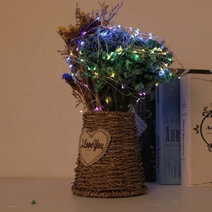 <span class=keywords><strong>Guirlande</strong></span> lumineuse LED 2M CR2032 AA sur fil <span class=keywords><strong>de</strong></span> cuivre alimenté par batterie étanche <span class=keywords><strong>pour</strong></span> la décoration <span class=keywords><strong>de</strong></span> Noël en plein air - Product Image 6