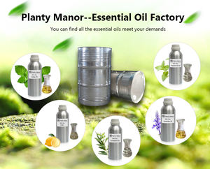 Aceite de Canela 100% Puro al por Mayor, Aceite de Alta Calidad para Uso Externo, Bálsamo de Masaje, Suministro de Fábrica - Product Image 6