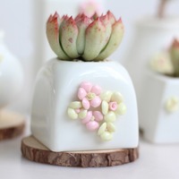 Pot de fleurs en céramique blanche minimaliste coréen MSH, fait main, à fleurs pincées, pour plantes à tige ancienne et succulentes PP