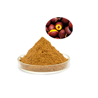 Complément Alimentaire en Vrac, Extrait Naturel de Plantes, Extrait de Fruit d'Aguaje, Poudre d'Aguaje, Direct Usine