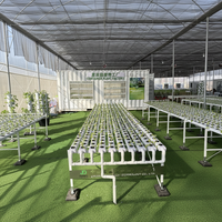 Tuyau PVC commercial en gros pour système hydroponique NFT, équipement agricole vertical pour légumes, qualité alimentaire