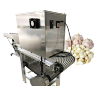 Éplucheuse à ail commerciale pour usine de poudre d'ail (220V/380V) – Éplucheuse à bande facile à nettoyer pour l'industrie alimentaire