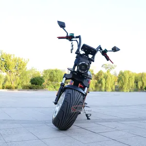 EEC電動バイク原付2000w60v 20ah 40ahスクーター45km/h電動バイク大人用Citycoco