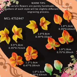 6Pcs Handmade 3D Acrylic Hoa Cho Móng Tay Nghệ Thuật Thủ Công Móng Tay Nhựa Lá Thiết Kế Cao Cấp Trang Trí Phụ Kiện Nguồn Cung Cấp - Product Image 4