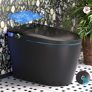 Salle de bain Nouvelle conception Couleur noir mat Lavage arrière Lavage des hanches Lumière ambiante Lumière nocturne Automatique Toilette intelligente monobloc - Product Image 6