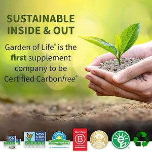 <span class=keywords><strong>Best</strong></span> verkochte biologische veganistische glutenvrije probiotica omega 3 vezelpoeder - Private label superfoods voor spijsverteringsondersteuning voor volwassenen - Product Image 4