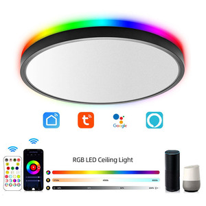 Luz de techo inteligente empotrada LED WiFi, regulable dormitorio sala de estar pasillo cocina guardería 12 pulgadas 24 vatios RGB delgada - Product Image 1