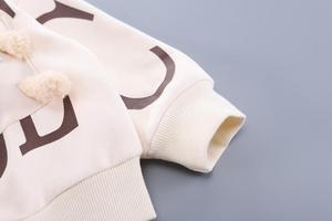 Ensemble deux pièces décontracté pour garçons, style automne-printemps, 0-3 ans, avec motif Ours Anglais, vêtements pour bébés et enfants - Product Image 6