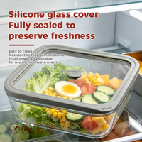 Bols en verre classiques avec couvercle en silicone de qualité alimentaire pour micro-ondes et four, hermétiques, gardent les aliments frais, personnalisables, vente en gros
