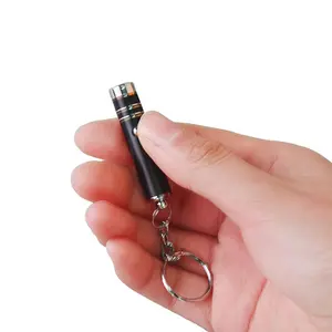 Mini Khuyến Mại Nhôm Tùy Chỉnh Key Chains 395nm UV Led Torch Keychain Đèn Pin Keychain Led Keyring