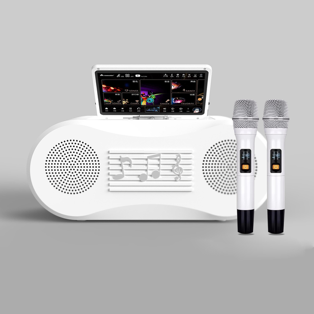 6 in 1 All-in-one KTV Karaoke Machine with 10.1" Screen and 2 Wireless Microphones 1 TB Storage for Adult Karaoke Parties