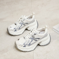 Chaussures de sport décontractées argentées 2026 - Nouvelles chaussures de sport épaisses en maille à lacets pour femmes - Chaussures à lacets