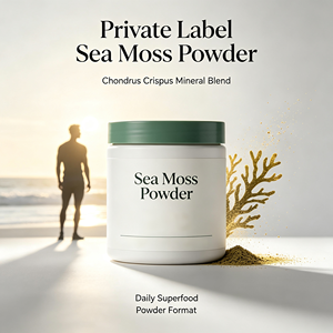 Poudre de mousse de mer à marque privée Chondrus Crispus, mélange minéral apaisant pour les intestins, superaliment quotidien, fabricant OEM - Product Image 3