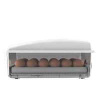 Ventes d'usine – Nouvelle couveuse automatique mini 24 œufs 110 V/220 V pour poulets, cailles, dindes, oies, canards