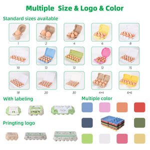 Vassoi per Uova Biodegradabili Usa e Getta, Confezioni Colorate per 30 Uova, Campione Gratuito - Product Image 5