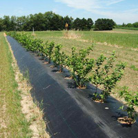 Agriculture Noir Carré Couvre-sol Jardin pour Barrière contre les mauvaises herbes Tissu Plastique Filet Rouleau Contrôle Personnalisable Coupe des mauvaises herbes