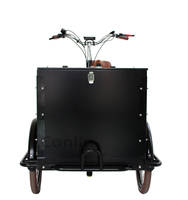 Bicicleta de carga holandesa con caja familiar, bicicleta de carga eléctrica de 3 ruedas a la venta