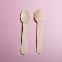 Mini ensemble de couverts en bois jetables-pour les fêtes comprend une fourchette et un couteau à crème glacée-usage unique