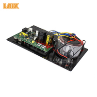 Amplificateur de plaque 200 Watts RMS Class AB pour armoires de subwoofer PA DJ HiFi puissant OEM ODM Mono amplificateur de subwoofer Audio domestique