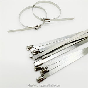 SSCT 316 304 из нержавеющей стали кабельные стяжки из Нержавеющей Стали Стяжки - Product Image 6