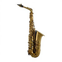 Professional EB Tone Brass Alto Saxophone for Performance