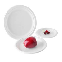 9 inch wegwerp snack- en oesterwafelbordjes van de fabrikant, biologisch afbreekbaar, voor fruit, desserts en hapjes, vintage serveerschaal