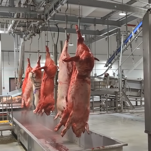 Línea de Equipos de Matanza de Cerdos para Plantas de Procesamiento de Mataderos Industriales Avanzados y Profesionales - Product Image 1