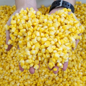 Industrial Sweet Canned Corn Production Line Niblet Kernel Threshing Blanching Washing Dewatering Packing Processing Line - Product Image 6