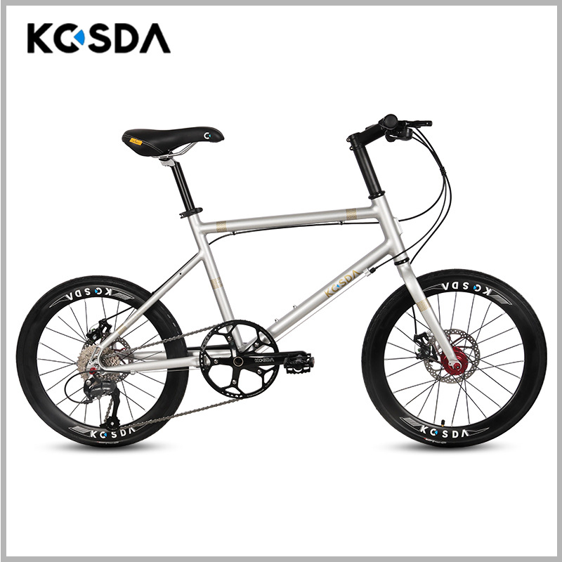 22 pouces argent-shimano 9 vitesses
