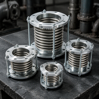Compensateur de dilatation à bride en acier inoxydable, vente chaude, directement de l'usine, DN50-DN600 pour pipeline