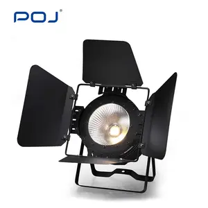 POJ OJ-200W Customized 200W Cob Led Cobpar Light Rgbwa Uv 6In1 Led Par Light