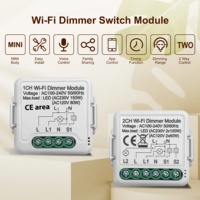 Module d'interrupteur variateur intelligent Tuya ZigBee 1/2 voies en ABS, contrôle à distance WiFi via Alexa Google Home, tension max. 240 V