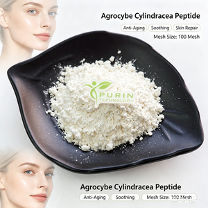 Péptido <span class=keywords><strong>de</strong></span> Agrocybe Cylindracea <span class=keywords><strong>de</strong></span> Bajo Peso Molecular, Oligopéptido <span class=keywords><strong>de</strong></span> Hongo <span class=keywords><strong>de</strong></span> Té, Antioxidante, Materia Prima para Cosméticos y Suplementos para la Salud - Product Image 3
