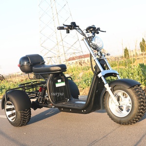 2000w 60v1 2ah/20ah batterie amovible citycoco fat tire 3 roues scooter électrique canada/tricycle/trike/vélo/<span class=keywords><strong>moto</strong></span> - Product Image 4