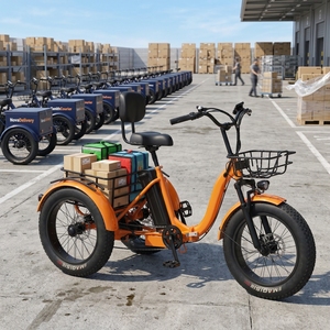 Triciclo Eléctrico <span class=keywords><strong>de</strong></span> Carga <span class=keywords><strong>de</strong></span> Alta Resistencia 750W 48V 20Ah con Neumáticos Anchos para Micrologística, Entrega del Último Kilómetro y Alquiler <span class=keywords><strong>de</strong></span> Flotas para Resorts OEM - Product Image 2