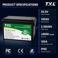 Batterie au lithium 100Ah 25,6V 2,56kWh au phosphate de fer rechargeable avec borne M8 pour système de panneaux solaires hors réseau