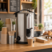Chauffe-eau électrique commercial en acier inoxydable de 35 L pour la restauration, distributeur d'eau chaude