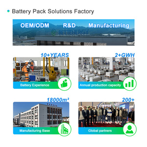 8000 <b>Cycles</b> 10-year Warranty 15kw Battery 16kwh Lithium Ion Solar 51.2v 314AH for Home Energy Storage ELESHELL-16Kplus 15kw Batt - Product Image 1