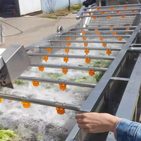 Aspergesla Wassen En Reinigen Branding Ozonbellen Fruit Wasmachine Industriële In Blokjes Gesneden Groenten Wasdroogmachine Op Maat