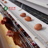 Nouvelle ferme de volaille de poulet d'oeuf de cage de couche de conception avec la volaille d'équipement de ferme de poulet